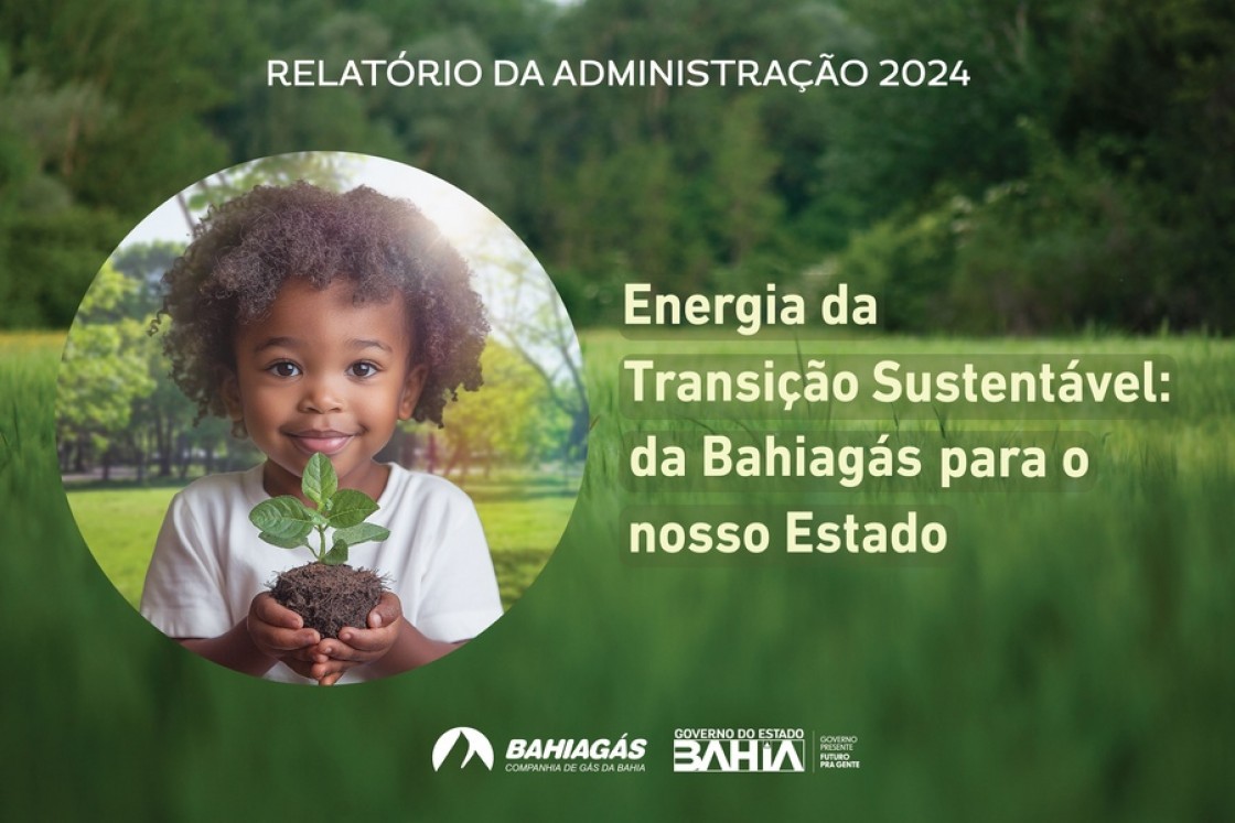 Relat&oacute;rio da Administra&ccedil;&atilde;o 2024