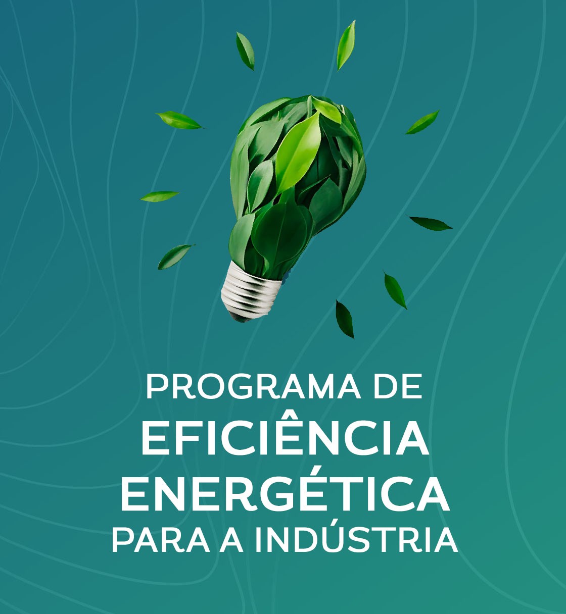 Efici&ecirc;ncia Energ&eacute;tica Industrial