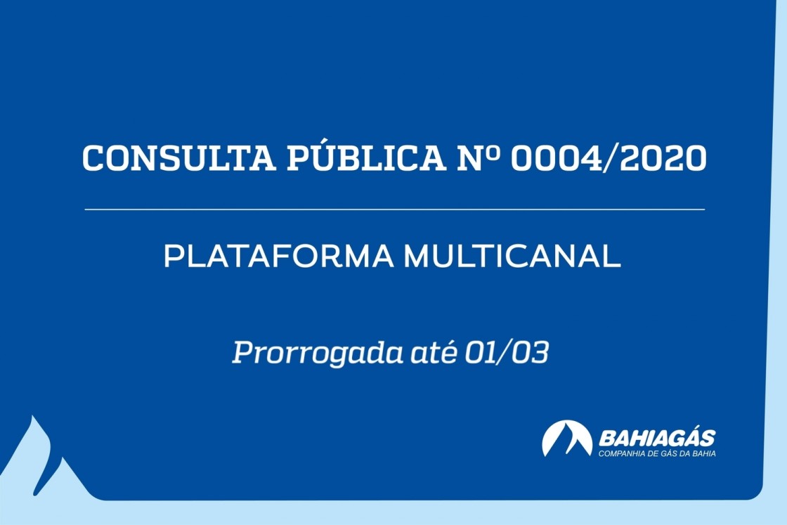 Consulta P&uacute;blica n&ordm; 0004/2020